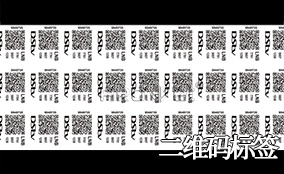 东升国际A-1喷码平台一体机Technical Parameters